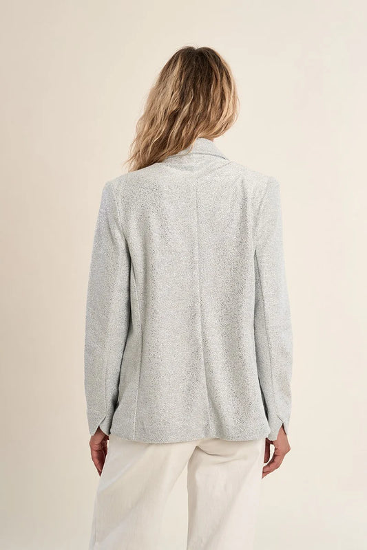 Silver Blazer