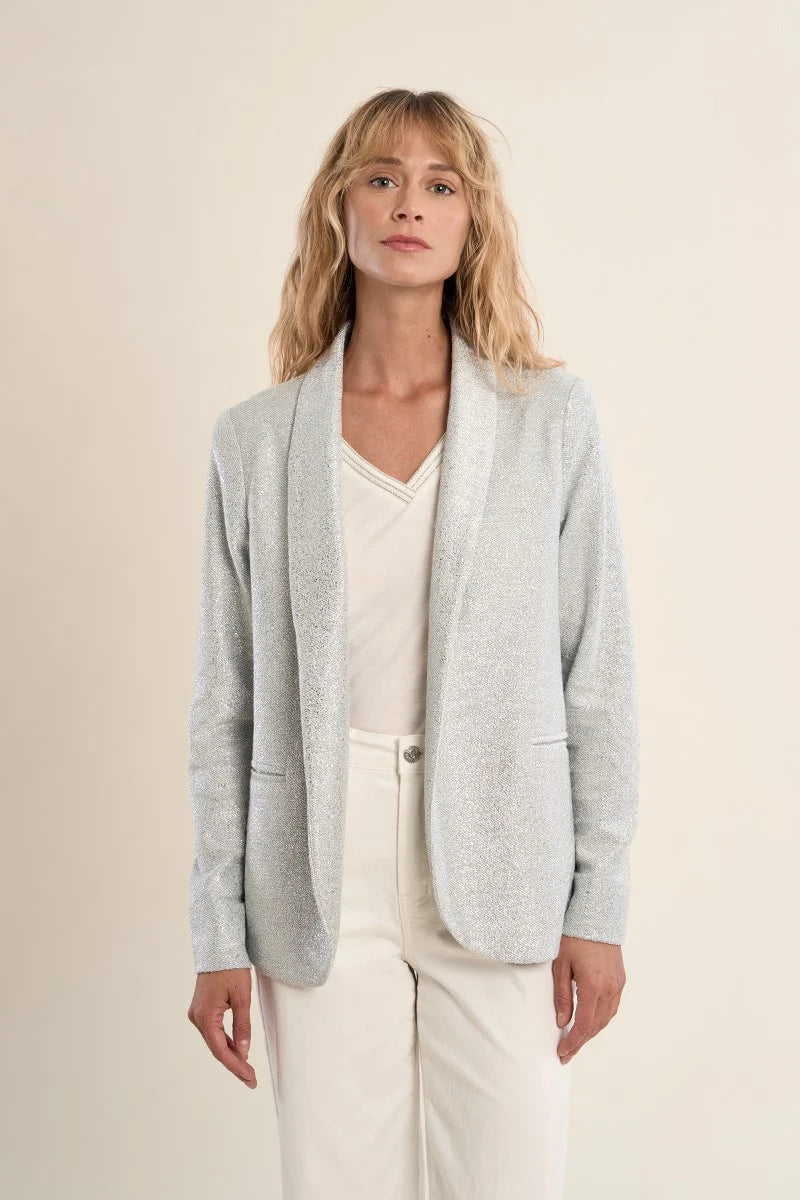 Silver Blazer