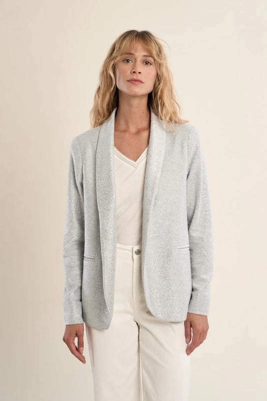 Silver Blazer