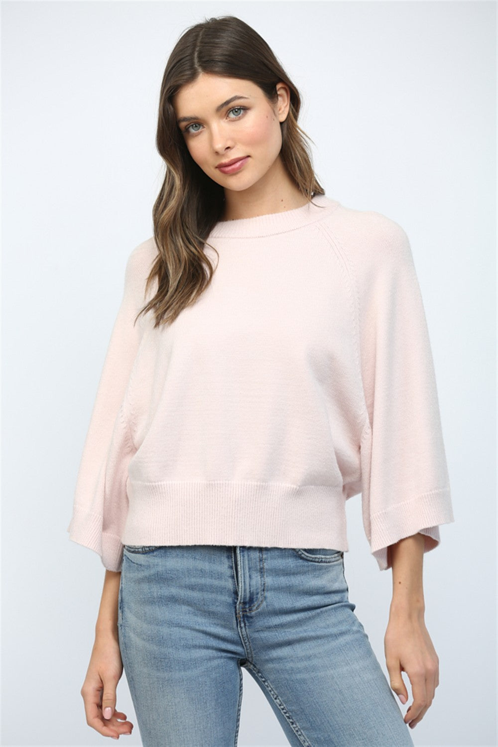 Reglan  Slve Crew Sweater