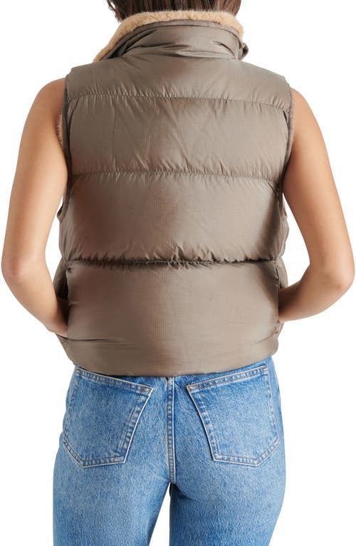 Brady-Vest-back