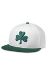 Shamrock Hat