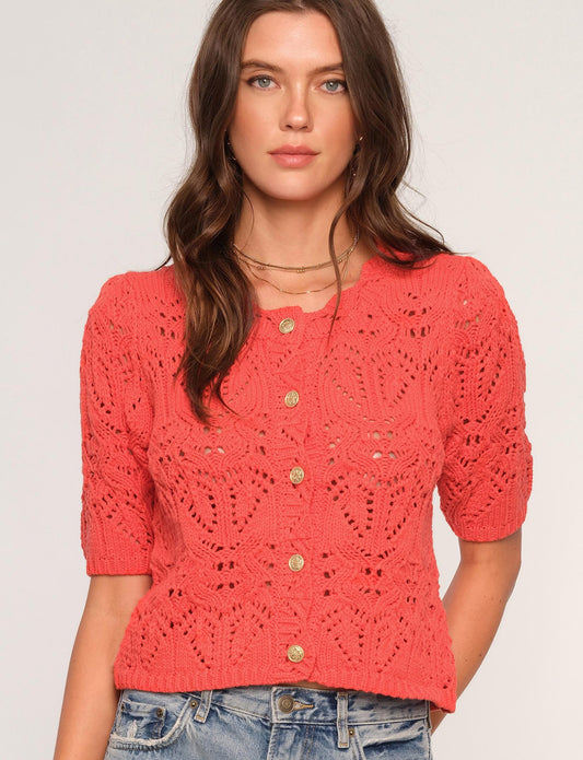 Leititta Cardi