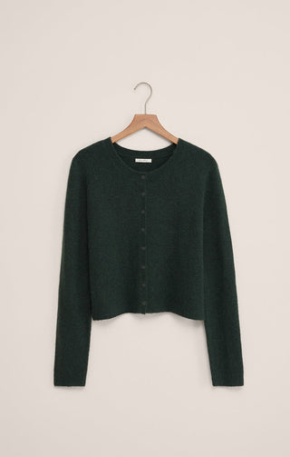 Medina Cardi